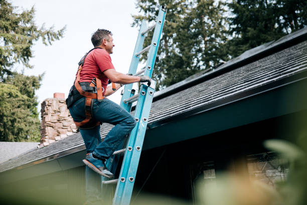 Best Metal Roofing Installation  in Lakeland Village, CA